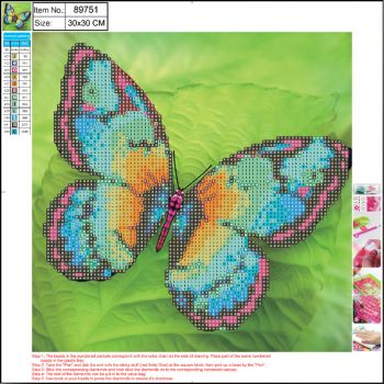 Diamond pictures canvas BUTERRFLY