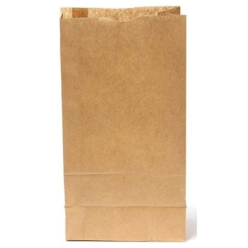 Bags Kraft (no handle)  24x13x8cm Medium