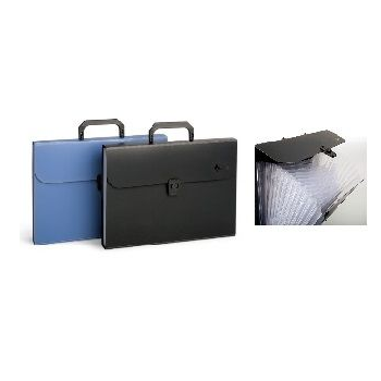 Expanding File Case With Handle